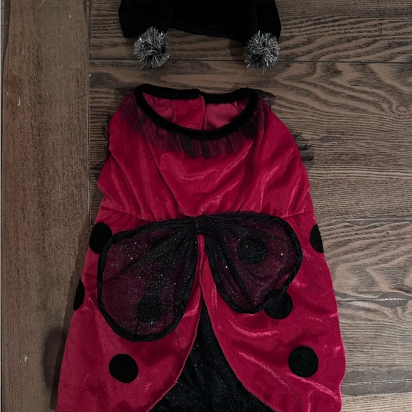 Lady bug Dog costume- size M - Picture 16 of 16